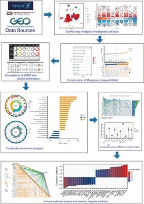 Integrated analysis of single-cell and Bulk RNA sequencing reveals a malignancy-related signature in lung adenocarcinoma
